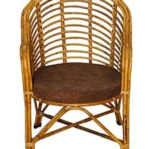 Cane (Rattan) Chair with Cushion | Handcrafted Indoor & Outdoor Lawn Chair | Eco-Friendly & Durable Seating