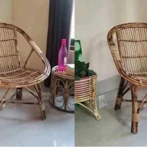 Cane Arm Chair Set with Cushion (Pack of 2) for Lawn, Indoor & Outdoor Use