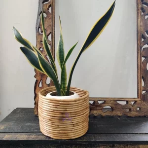 Bamboo Cane (Rattan) Planter - Storage Basket - Office Basket (20x20x20) cm