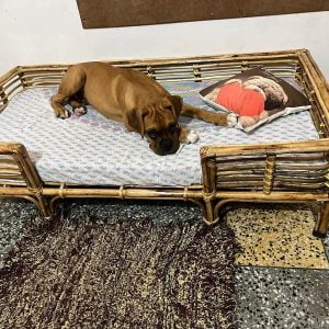 Bamboo Cane Pet Bed For Dogs and Cats with foam (square)