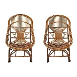 Cane Chair Set with Arm Rest and Cushion (Set of 2)