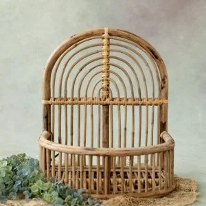 Cane Posing Basket for Baby Photoshoots