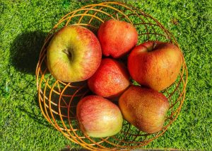 Bamboo Round Basket for Festival Gift Packing, Dry Fruit Basket, Fruit Basket,Storage Baskets, Wedding Baskets, Dinning Table basket, Size :9 inch (Pack of 5)