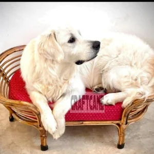 Handcrafted Bamboo Cane Pet Bed (36 x 24 Inch) – Wooden Finish Dog Sofa with Cushion | Supports 80kg (Beagles, Bulldogs, Pugs)