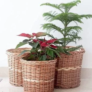 Bamboo Wicker Planter Stand for Home, Terrace,Living Room, Balcony, Indoor, Outdoor Garden,Storage Basket Flower Pot (Pack of 3)