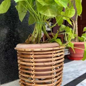 Cane Flower Pot Stand,Planter Stand,Holder for Indoor Plants for Balcony, Livingroom, Kitchen, Garden, Hall (Set of 2 Baskets)