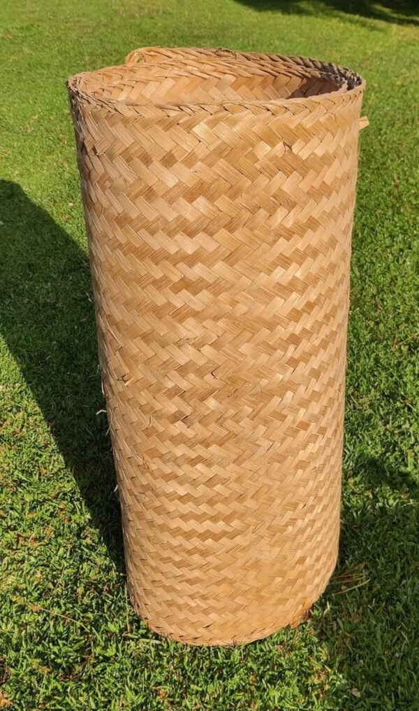 910KAE1v68L._SL1500_