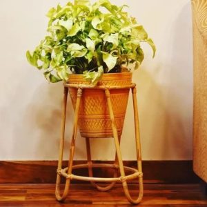 Bamboo Cane Plant Stand – Indoor Flower Pot Holder for Home, Garden, Balcony & Living Room Décor