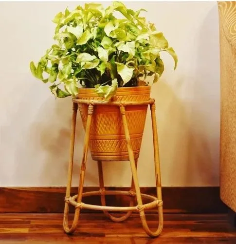 Bamboo Cane Plant Stand  Indoor Flower Pot Holder for Home, Garden, Balcony  & Living Room Dcor - BhatiaCane.com
