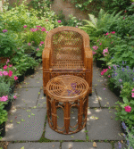 Gemini_Generated_Image_6bysgd6bysgd6bys-logo.png1