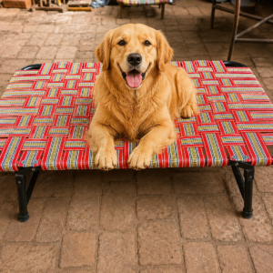 Elevated Dog Bed 2 x 3 Ft | Heavy Duty Metal Frame | Breathable Raised Pet Cot | Indoor & Outdoor Use