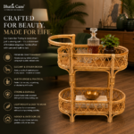 Cane-Trolley-BAR3