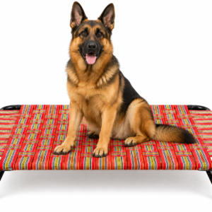 Elevated Dog Bed for Large Dogs | Heavy-Duty Metal Frame Raised Pet Cot | Breathable Indoor & Outdoor Dog Bed | 48 × 24 × 10 Inch